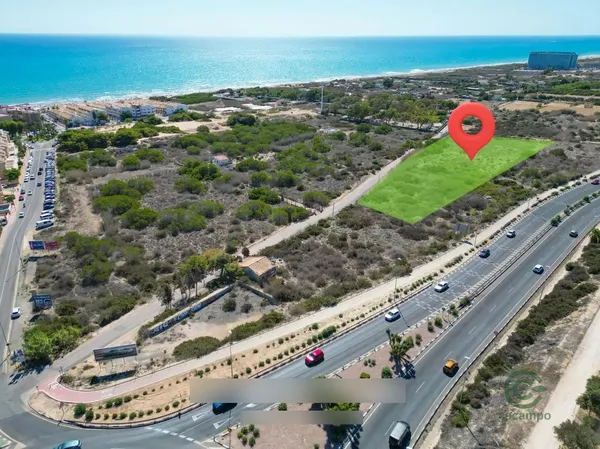 Spot image
