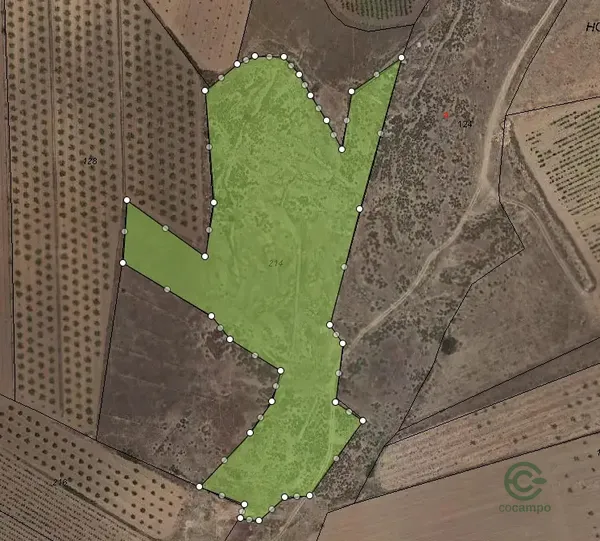 Spot image