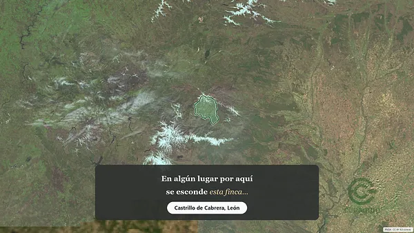 Spot image