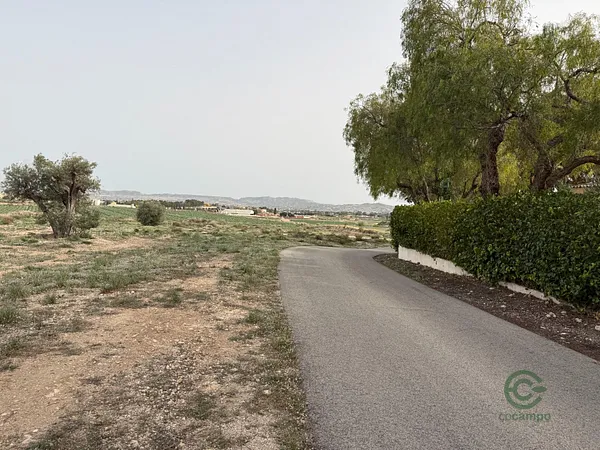 Finca rústica de 1 ha en venta en Novelda, Alicante