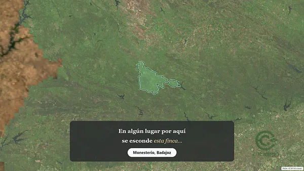 Spot image