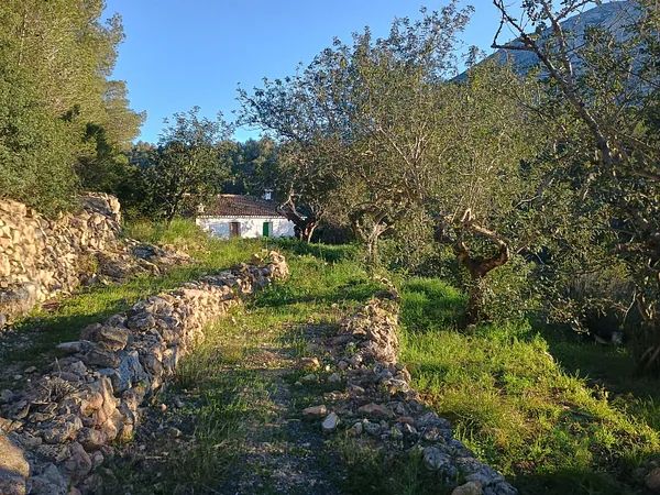 Spot image