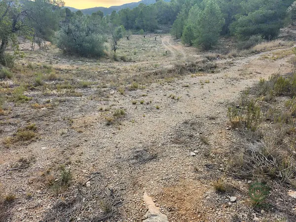 Spot image
