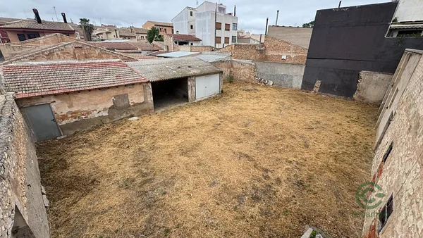 Spot image