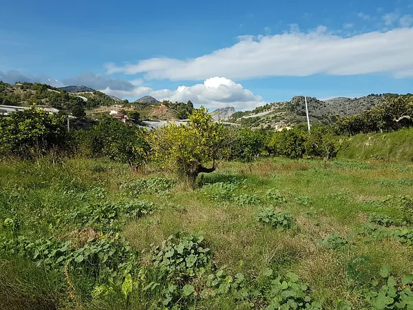 Finca agrícola de 0,32 ha en venta en Alicante