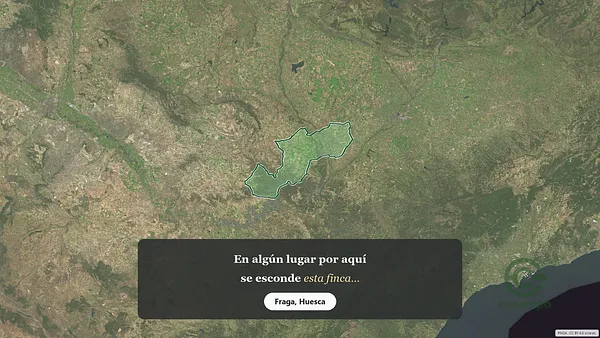 Spot image