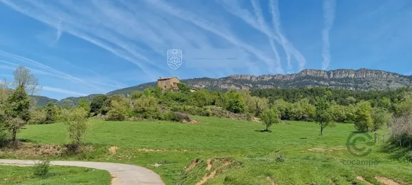 Spot image