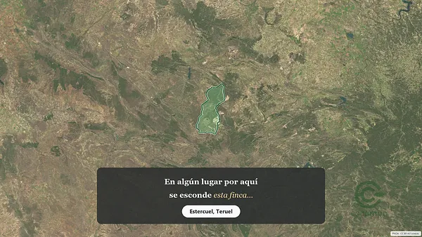 Spot image