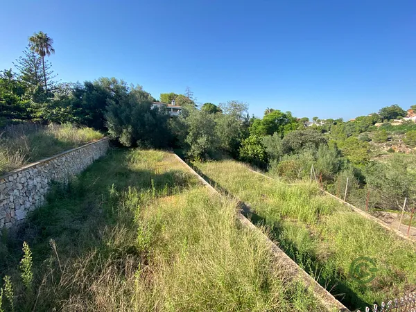 Finca agrícola de 0,1053 ha en venta en Alzira, Valencia