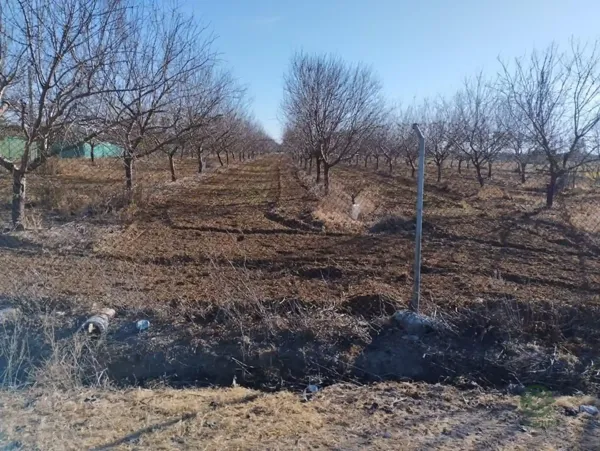 Finca agrícola de 1 ha en venta en Sevilla