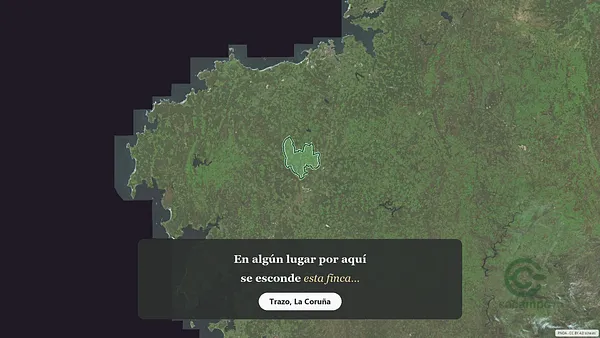 Spot image