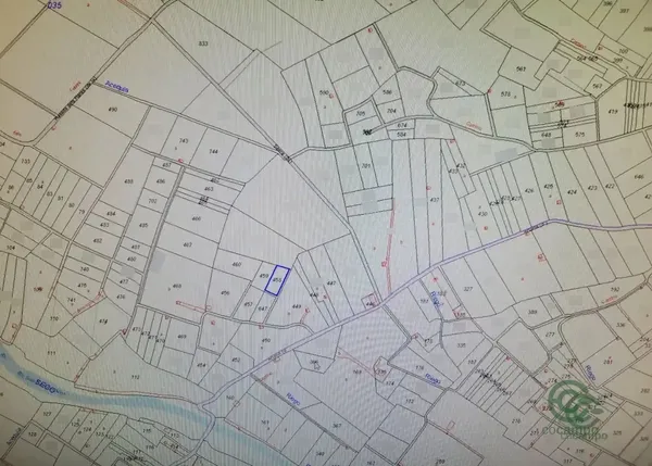 Spot image