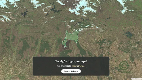 Spot image