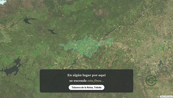 Spot image
