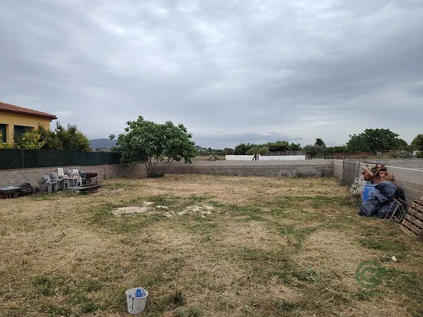 Spot image