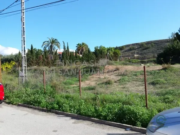 Spot image