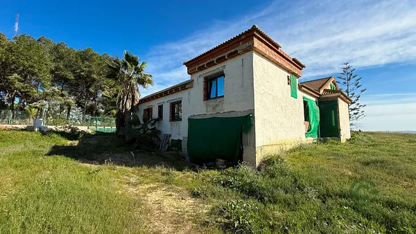 Spot image