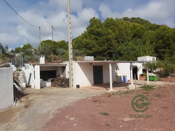 Finca agrícola de 4 ha en venta en Valencia