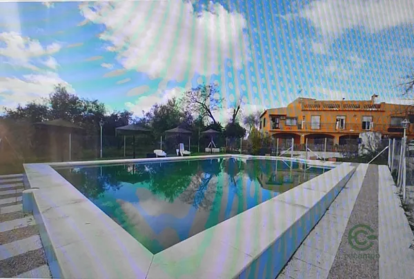Spot image
