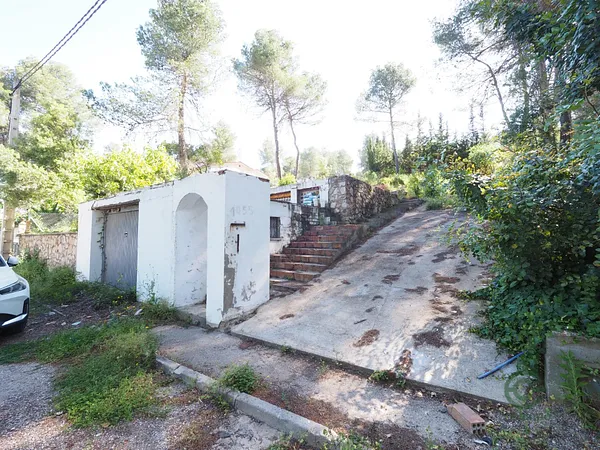 Spot image