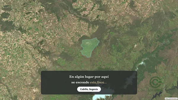 Spot image