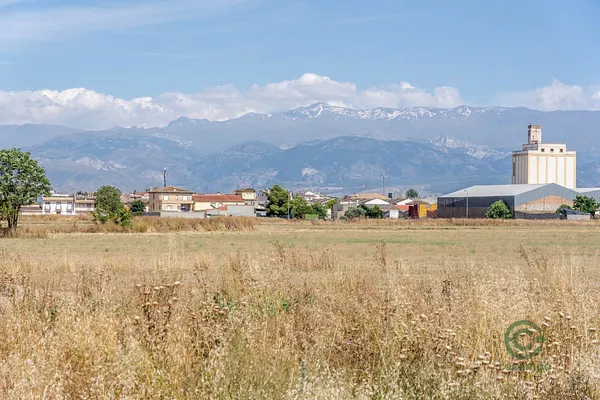 Spot image