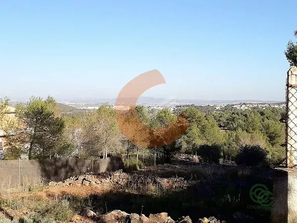 Spot image