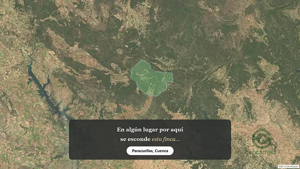 Spot image