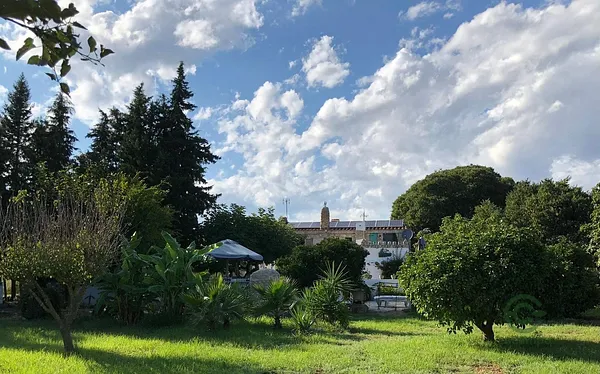 Finca rústica de 1,5 ha en venta en Camarles, Tarragona