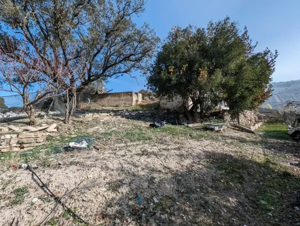 Spot image