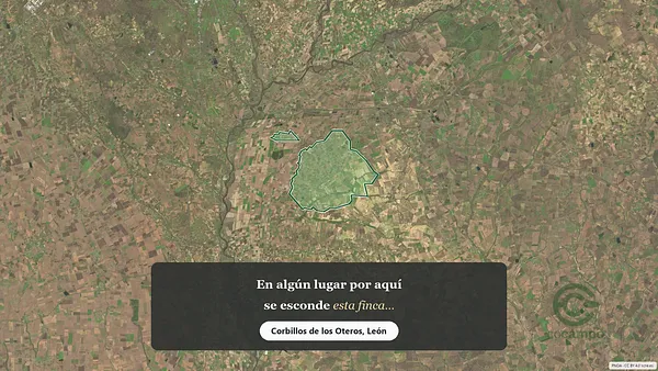Spot image