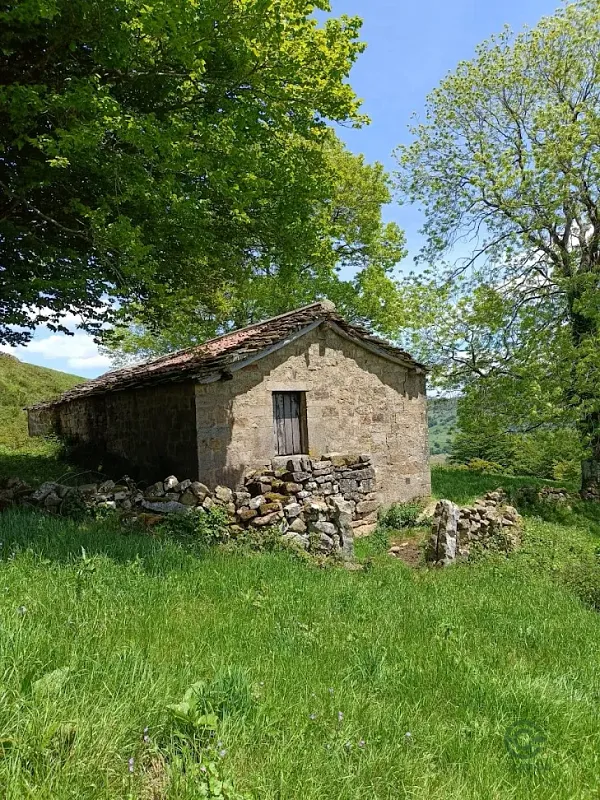Spot image