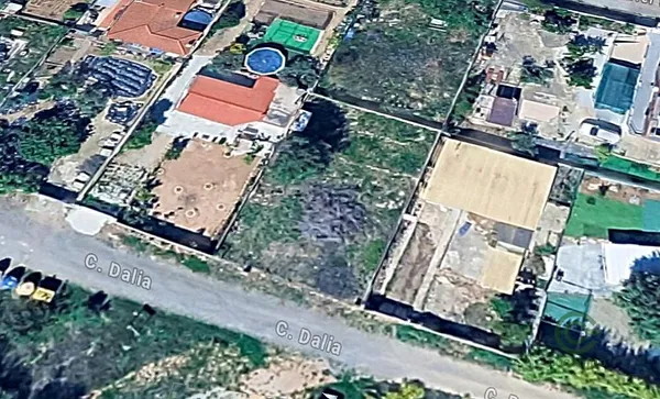 Spot image