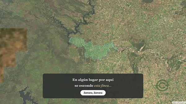 Spot image
