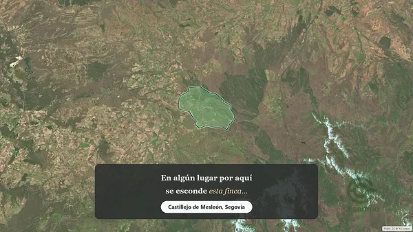 Spot image