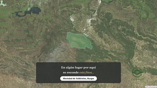 Spot image