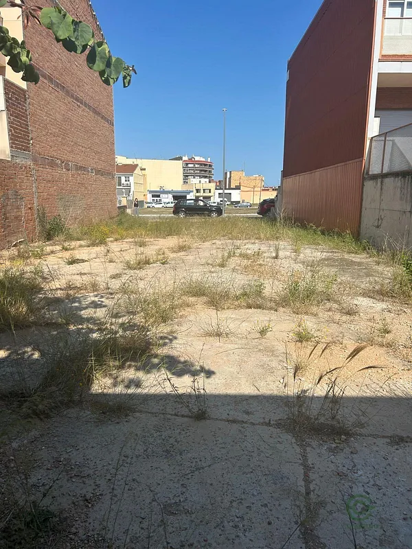 Spot image