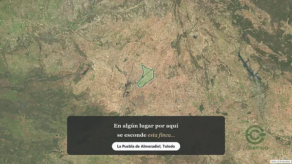 Spot image