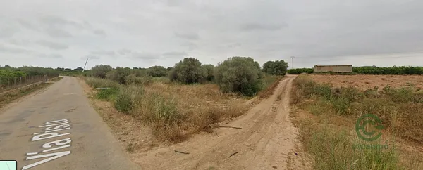 Spot image