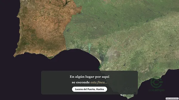 Spot image