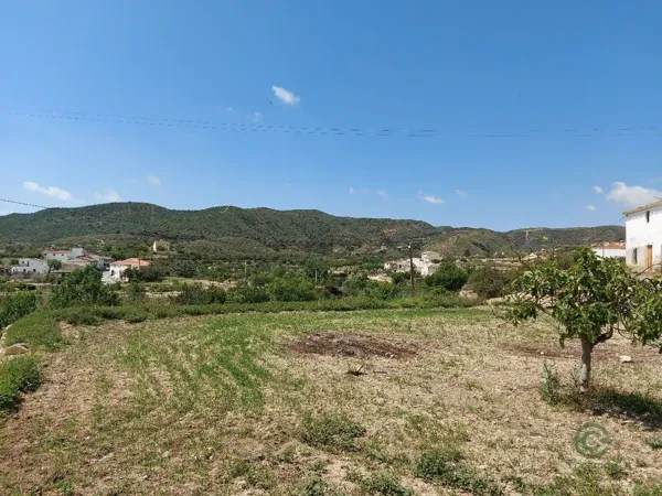 Spot image