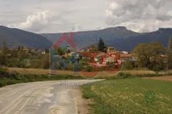 Spot image