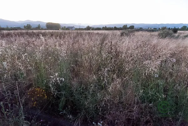 Finca agrícola de 0,4 ha en venta en León