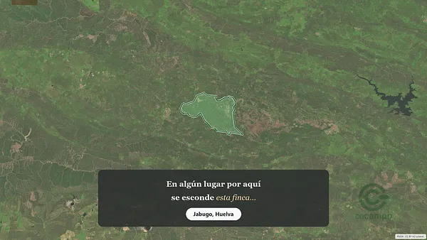 Spot image