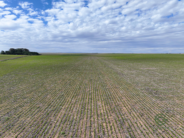 Finca agrícola de 601 ha en venta en Córdoba