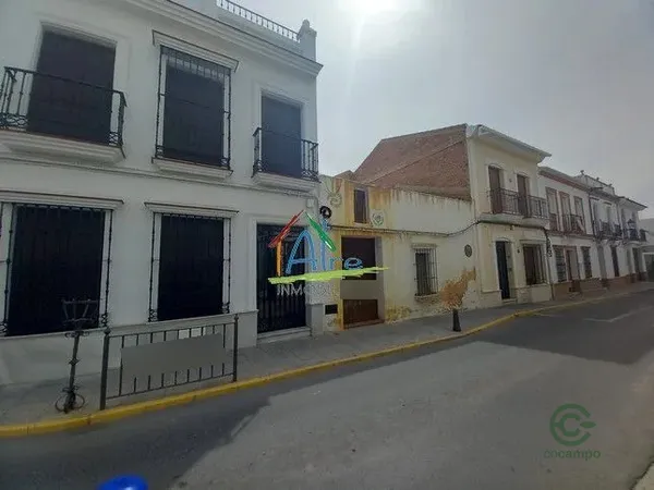 Spot image