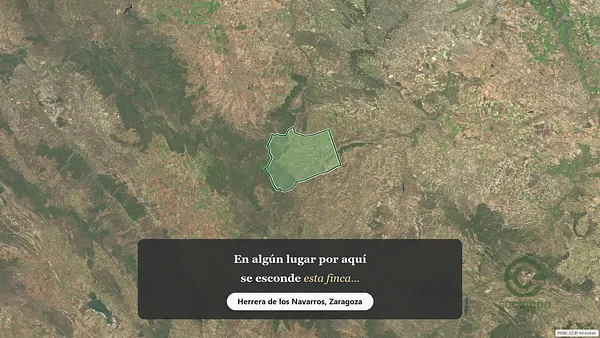 Spot image