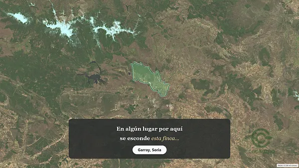 Spot image