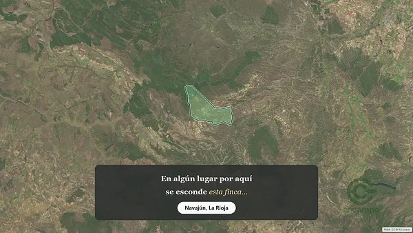 Spot image