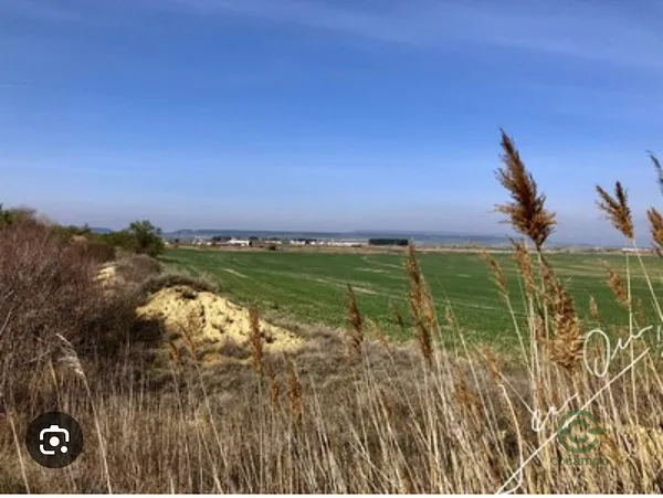 Spot image